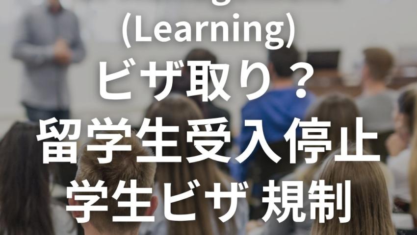【2026年9月最新】GDMLが留学生の新規受入停止｜Graduate Diploma of Management (Learning) の影響と対処法