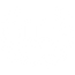 세계적인 수준의 교육 기관