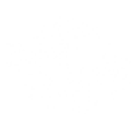 언어 및 문화 교류